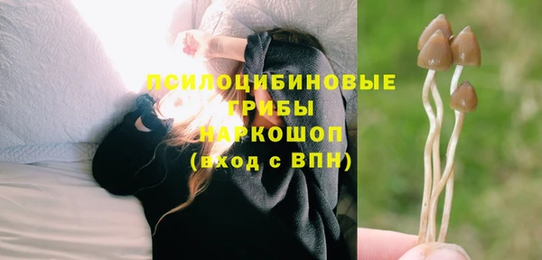 прущая мука Алапаевск