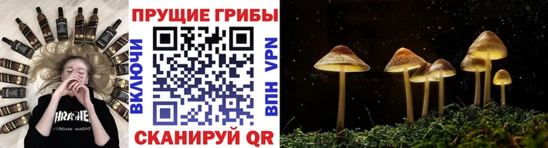 Псилоцибиновые грибы ЛСД  Саки 