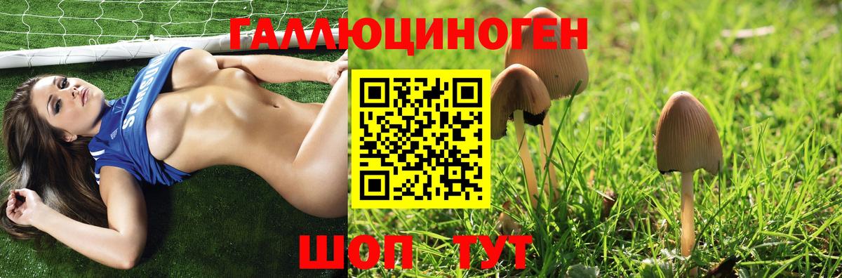 Галлюциногенные грибы Psilocybine cubensis  Вход с VPN  Саки 